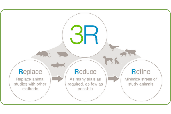 Illustration of the 3Rs approach: Replace, Reduce, Refine