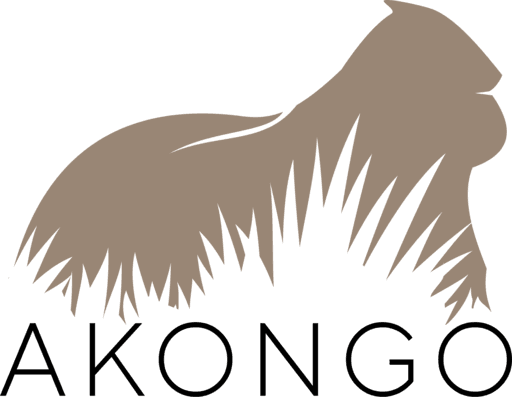 AKONGO LOGO