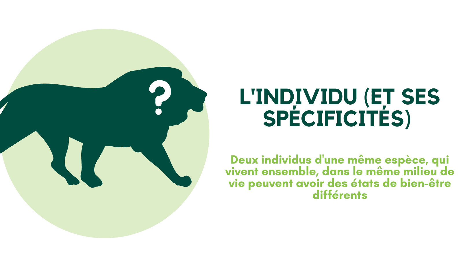 L'individu (et ses spécificités)