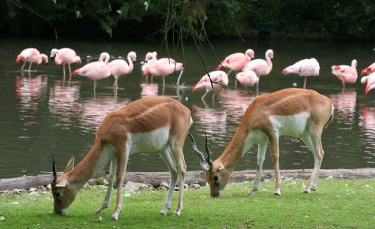 Parc de Clères