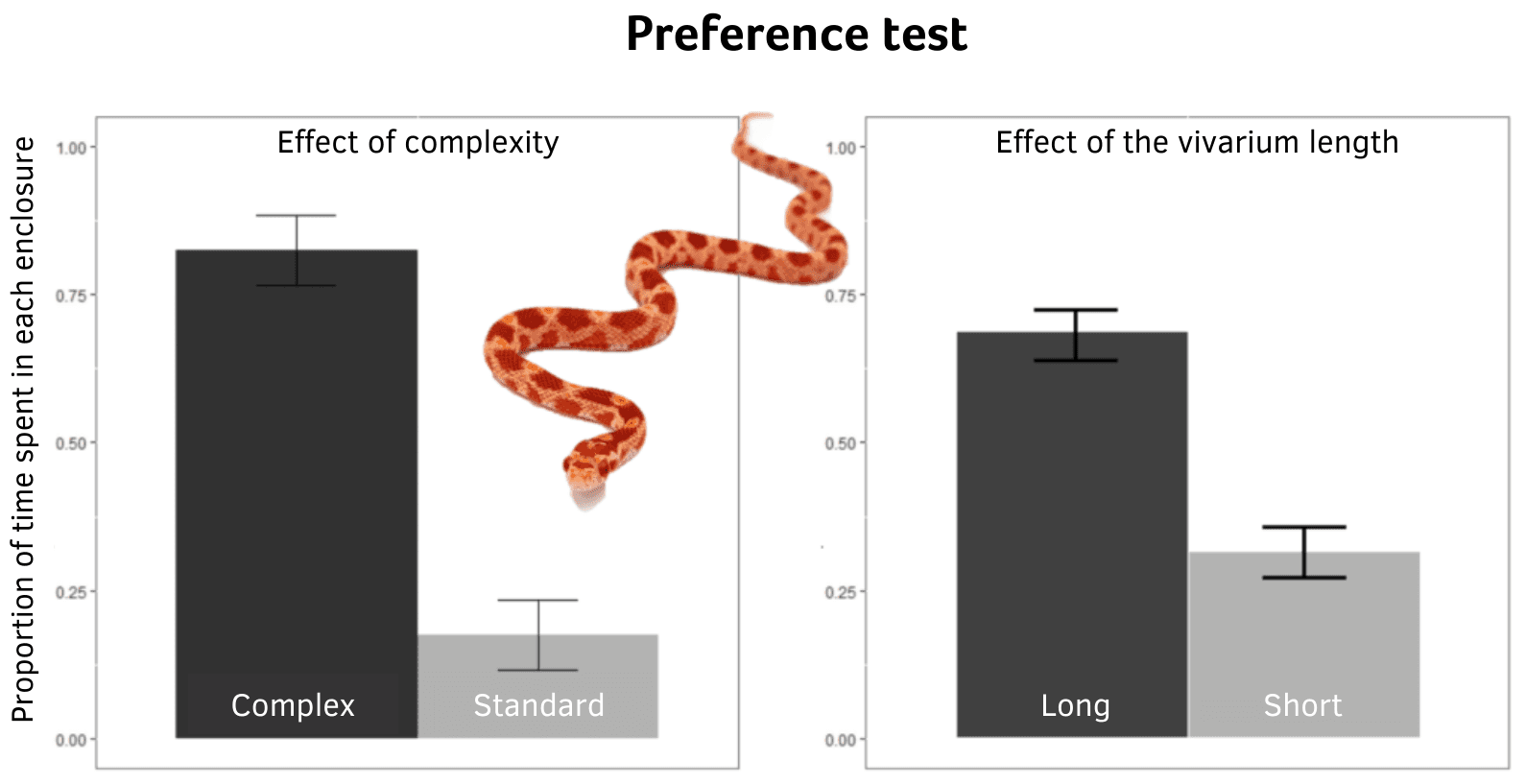 Preference test (corn snake)