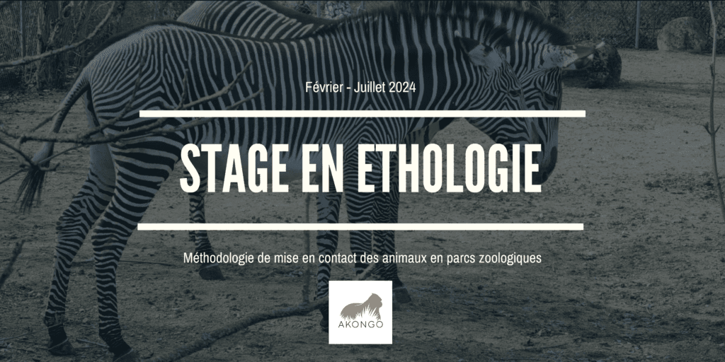 Illustration Offre de stage – Développement d’une méthode d’aide à la décision lors de mises en contact en parc zoologique